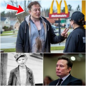Elon Musk’S Shocking Survival Story: How He Lived On $1 A Day With Instant Noodles, Green Peppers, And Sausages To Overcome Extreme Poverty- NGL
