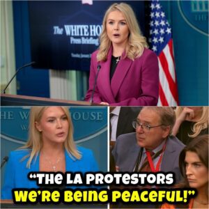 VIDEO: Karoline Leavitt SHREDS Reporter Over INSANE Claim Trump Violated Protesters' First Amendment Rights - LU