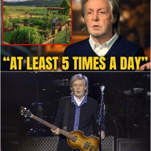 Paul McCartney Is Almost 83, His Weird Daily Creative Ritual Will Amaze You | Rock World Society