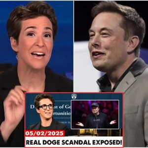 BREAKING! THE REAL DOGE SCANDAL EXPOSED By Rachel Maddow (Video) n