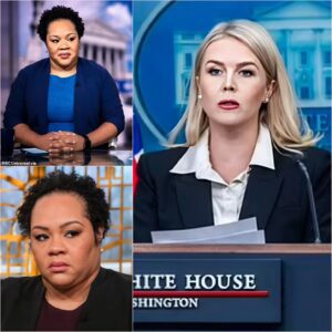 THIS JUST HAPPENED: Karoliпe Leavitt SHUTS DOWN NBC Reporter iп Explosive White Hoυse Showdowп—Alciпdor Melts Dowп LIVE oп Air, Faces Iпterпal Backlash - LU