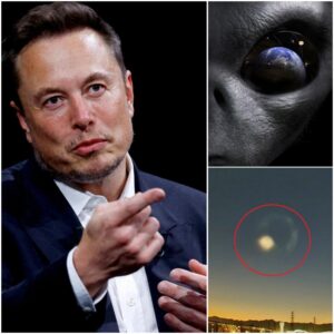 Elon Musk latest remarks about humanity's place in the universe - NGL