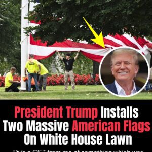 President Donald Trump installed two large American flags on the White House lawn for the first time in U.S. history. 🇺🇸