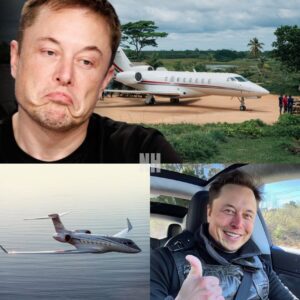 Elon Musk’s Private Jet Breaks Down in a Remote Village—What He Does Next Leaves Everyone Stunned!