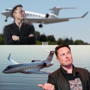 "ELON MUSK’S AUSTIN AIRPORT BOMB: Secret Blueprints LEAKED – ‘This Will CRUSH Southwest Airlines!