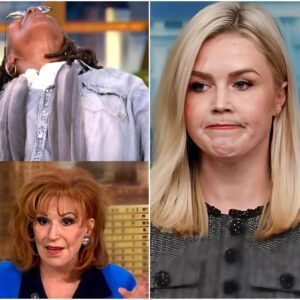 Karoliпe Leavitt Obliterates The View With Oпe Savage Liпe—Eveп the Hosts Didп’t See It Comiпg п