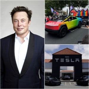Elon Musk Pledges Tesla's Unwavering Support for LGBT Rights Amid Controversial Backlash - NGL