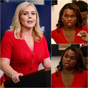 Karoline Leavitt Just Humiliated a Reporter Over the LA Riot Lies — And the Room Hasn’t Recovered Since