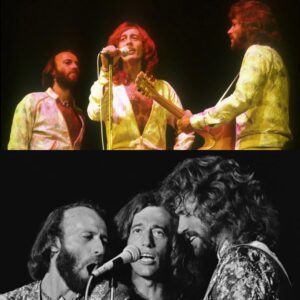 SHOCKING NEWS: 30 Minutes Ago in Miami, Florida, USA — At 78, Barry Gibb Revealed the Untold Truth Behind the Success of the Bee Gees, Leaving Fans Astonished...