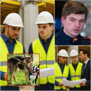 BREAKING NEWS: Max Verstappen and Lewis Hamilton Team Up to Build a £170 Million Animal Rescue Shelter for Abandoned Pets, Providing Them