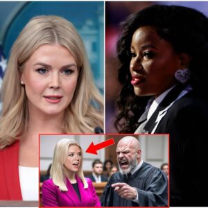 🔥 $100,000 Fine? A Silencing Attempt? Think Again — Caroline Leavitt Walked Into Court, But What Happened Next SHATTERED the System! 🔥 n