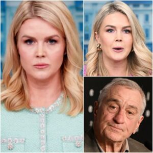 Robert De Niro Claims: Karoline Leavitt Is Not Qualified to Be a Role Model for Women — and the most surprising thing is finally confirmed 😮💥sangdeptrai