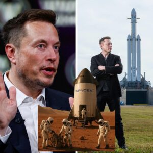 Exclusive: Elon Musk reveals plans to send Starships to Mars in just two years, with a $60,000,000,000,000 mission. Humans could follow soon after, if the uncrewed flights succeed.
