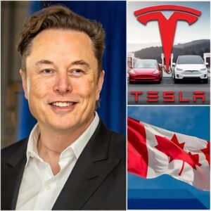 SHOCKING REVELATION: The whole world was stunned by Elon Musk’s 7-word statement about a long-hidden truth: “I think this is the right time for everyone to know”!