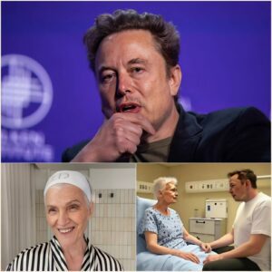SHOCKING NEWS: 40 minutes ago in Pretoria, South Africa. At 53 years old, the family of star Elon Musk has just announced to his followers the urgent news that his mother is... - Luxury Blog