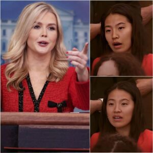 “EXCUSE ME—THIS IS AMERICA”: Karoline Leavitt FREEZES Chinese Reporter With One Sentence That Changed the Room
