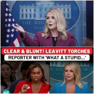 Watch Full Drama: Karoline Leavitt Nukes Reporter’s ‘Stupid’ Question on Trump’s ICE Protest Stance