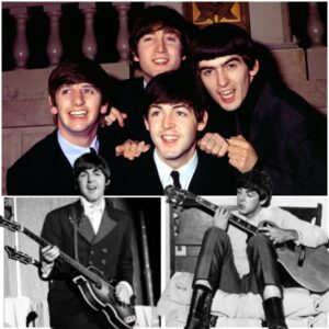 Paul McCartney's Musical Journey - ngl