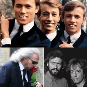 Barry Gibb vs. Robin Gibb: Which Voice Truly Defined the Bee Gees Sound?
