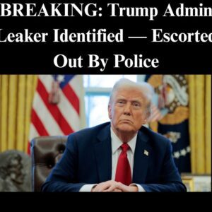President Donald Trump Just DESTROYED Any Chance Democrats Had To Regain Power - Here's How He Did It