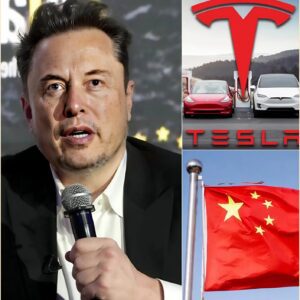 SHOCKING REVELATION: The Entire World Was Stunned by Elon Musk’s 9-Word Statement About a Long-Hidden Truth: “I Believe This Is the Right Time for Everyone to Know!”
