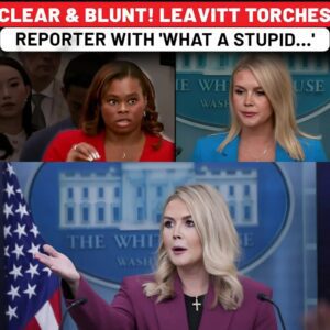 Watch Full Drama: Karoline Leavitt Nukes Reporter's ‘Stupid’ Question on Trump's ICE Protest Stance