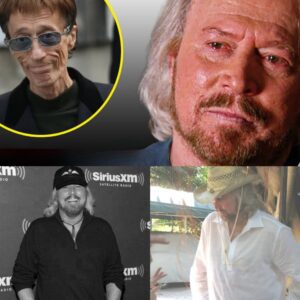 After Robin's Death, Barry Gibb's Finally Breaks His Silence Barry Gibb has kept silent about Robin for years, but the wait is over. What explosive revelations does Barry have?