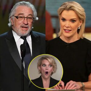 Megyn Kelly Thought She Had Him Cornered—Then Robert De Niro Said Just Eight Words That Changed Everything