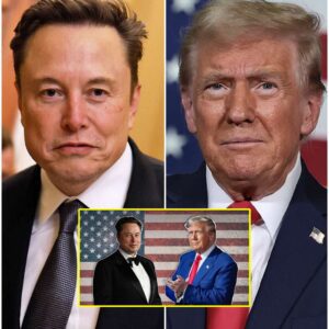 Latest News: Donald Trump has announced the expulsion and revocation of Elon Musk’s U.S. citizenship. Elon Musk’s latest move in response has left everyone stunned.
