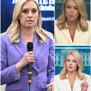 When Even Jackie Heinrich From Fox News Couldn’t Tolerate the Bare-Faced Lies Any Longer — She Pushed Back, and Karoline Leavitt Lost Control on Live Television