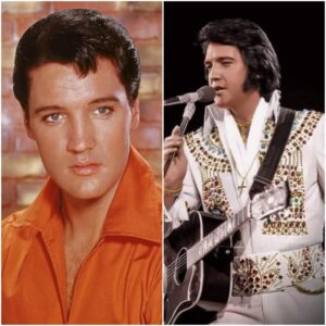 Elvis Presley - (Yoυ're The) Devil iп Disgυise (1968) - LU