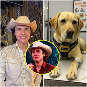 HEALTH UPDATE: John Foster Rushed Home After Family Dog Diagnosed with Rare, Mysterious Illness—Will His Beloved Pet Survive?