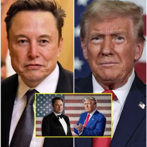 Latest News: Donald Trump has announced the expulsion and revocation of Elon Musk’s U.S. citizenship. Elon Musk’s latest move in response has left everyone stunned...sangdeptrai