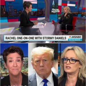 Survival, Sacrifice, and the Silent War Against America’s Star Witness How Stormy Daniels’ Interview With Rachel Maddow Revealed the True Cost of Telling the Truth in Trump’s America