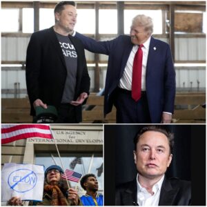 BREAKING: Elon Musk says he will do everything he can to make lawmakers who have called for cuts to government spending but instead support a “beautiful, giant bill” lose in the 2026 primary.