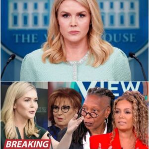 Leavitt's $800 Million Lawsuit Against 'The View' Sends Shockwaves Through ABC. - nh