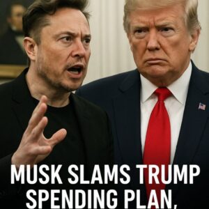 Elon Musk's Fierce Opposition to Trump's Spending Plan Shakes Congress! Elon Musk's Outspoken Words and the White House's Response Are Heating Up the Political Scene!