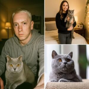 Eminem’s family welcomes a new member as he recently adopts a British shorthair cat. Rescued from an animal shelter, Eminem named the cat Xixi...