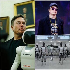 Unexpected: Elon Musk secretly builds a "dark robot army" - is the world about to change forever? A top-secret project is rumored to rewrite the rules of the global game. The robots developed by Elon himself are not just technology - but could be weapons that determine the future of humanity.