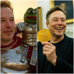 BREAKING NEWS: Cryptocurrency Kekius Climbs to the Top, Then Falls Due to Billionaire Elon Musk's Action