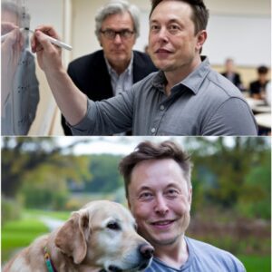 Professor Puts Elon Musk on the Spot—What Happened Next Shocked the Entire Class - nh