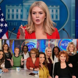“TOO LATE!” – Karoline Leavitt STRIKES BACK: $800 MILLION LAWSUIT GOES FULL FORCE – ‘The View’ Scrambles for Peace, But the Door Is Closed!- nh