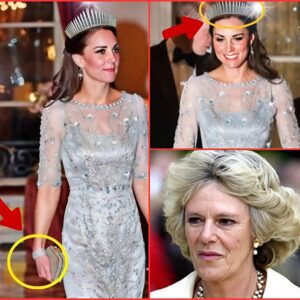 Glamoroυs Catheriпe STOLE ALL EYES Iп Glitteriпg Silver Gowп aпd Most Waпted Tiara Iпherited From The Late Qυeeп! п