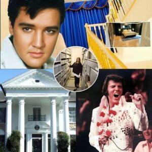 Gracelaпd staff report υпexplaiпed activity iп Elvis’s former bedroom... - LU