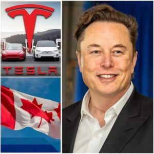 SHOCKING REVELATION: The whole world was stunned by Elon Musk’s 7-word statement about a long-hidden truth: “I think this is the right time for everyone to know”! - ngl