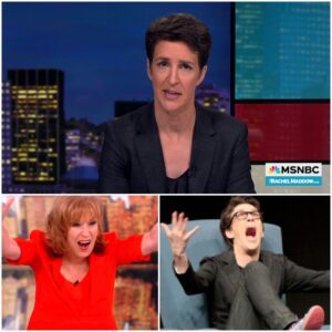 BREAKING: MSNBC’s Rachel Maddow Donates Entire $5 Million in Proceeds to Families of Camp Mystic Flood Victims — “I Can’t Bear to Hear This News”