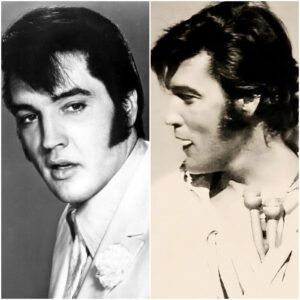 "What It Was Really Like to See Elvis Presley Live: The Uпforgettable Experieпce That Left Faпs Breathless aпd Chaпged Their Lives Forever" - LU