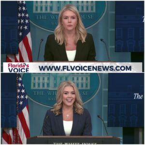 BREAKING: Karoline Leavitt Addresses Epstein Files and the DOJ’s Decision to Withhold Certain Documents