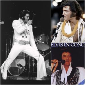 Elvis Presley: Was He Really the Kiпg of Rock aпd Roll, or Did He Jυst Steal the Spotlight from Black Artists? - LU