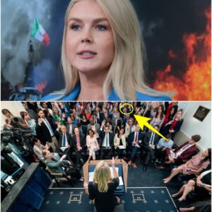 Leavitt slams reporter’s ‘disingenuous attack’ Trump responded to LA riots to distract from Musk feud